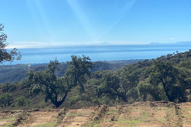 2 Hour Buggy Tour Off-Road Adventure in Mijas - Why the small group size changes the experience