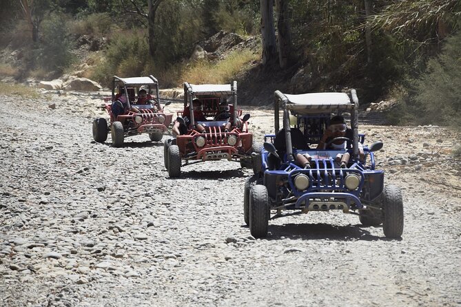 2 Hours Buggy Safari Experience in the Mountains of Mijas with Guide - How fast are the buggies?