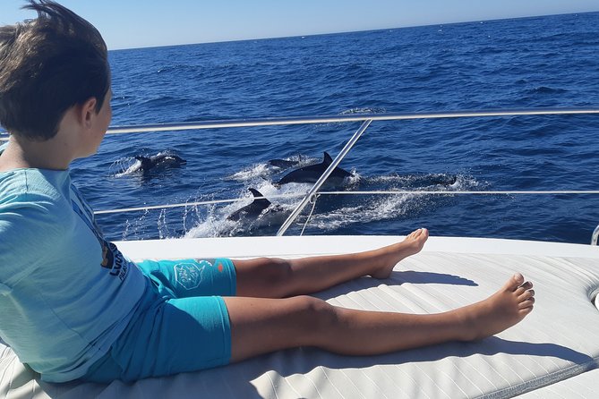 2 Hours Dolphin Watching in Marbella - Key points to know before sailing