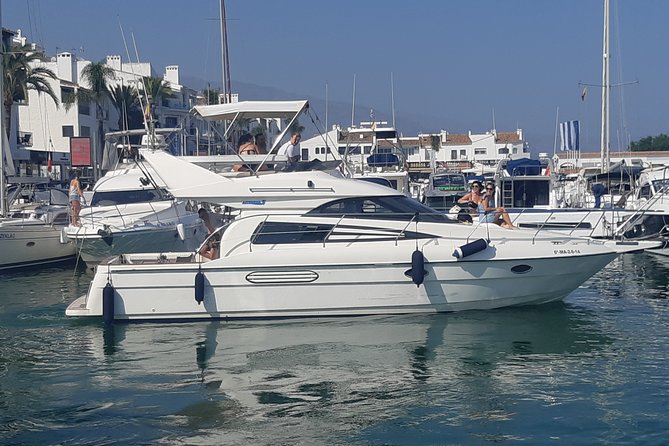 2 Hours Dolphin Watching in Marbella - Snacks, drinks, and the onboard mood
