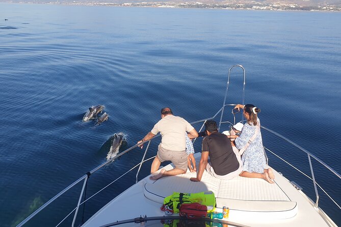 2 Hours Dolphin Watching in Marbella - Leaving Nueva Andalucía and following the coast