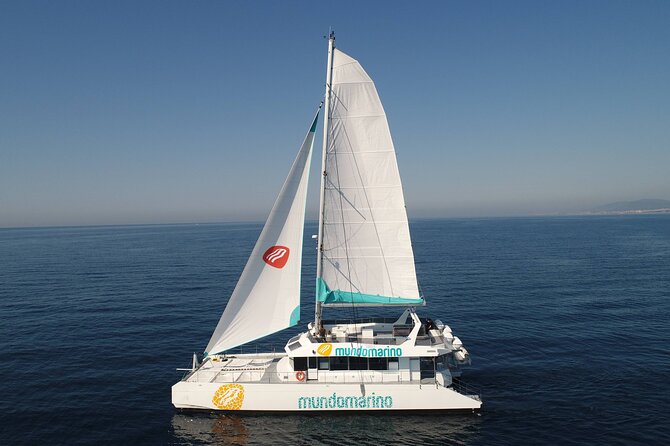3-Hours Catamaran Tour in Malaga with Paella - The swimming stop is the highlight for many people