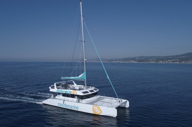 3-Hours Catamaran Tour in Malaga with Paella - Is $54.06 a fair price?