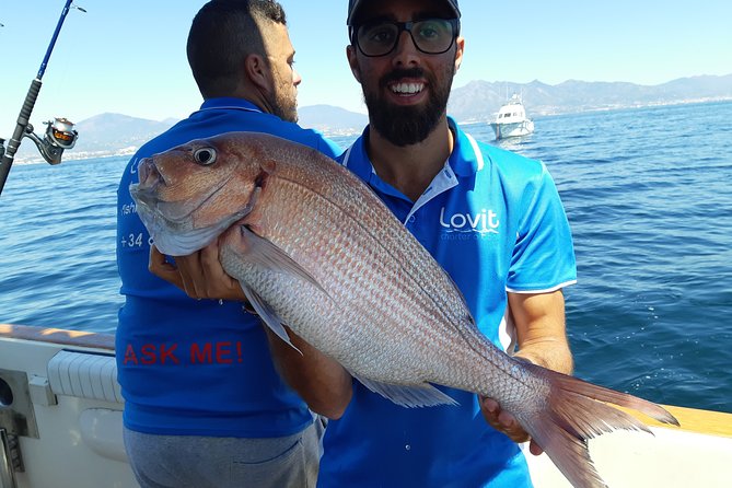 4 Hours Bottom Fishing Day by boat from Marbella - Leaving Marbella and watching for dolphins