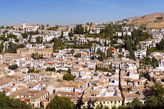 Alhambra and Albaicin Private Day Trip from Malaga - The day’s pace, comfort, and practical details
