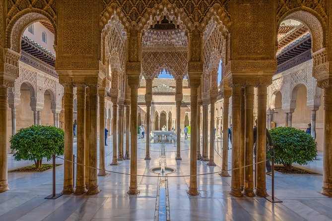 Alhambra and Granada Private Tour from Marbella, Malaga and port - Entering the Alhambra with a fixed palace time