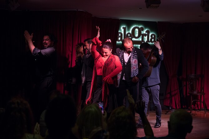 Authentic flamenco show. Alegria and gastronomy Malaga - Who Will Enjoy Alegría Most?
