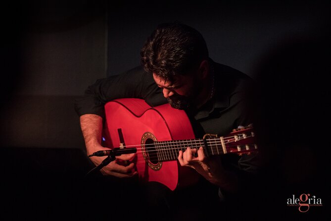 Authentic flamenco show. Alegria and gastronomy Malaga - Adding Dinner After the Show