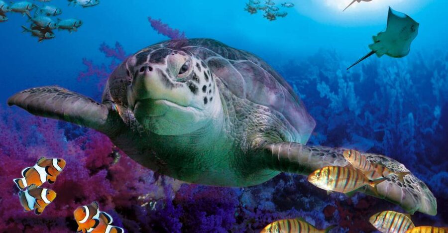 Benalmadena Aquarium Visit - Save time for Amazonia and its tropical species
