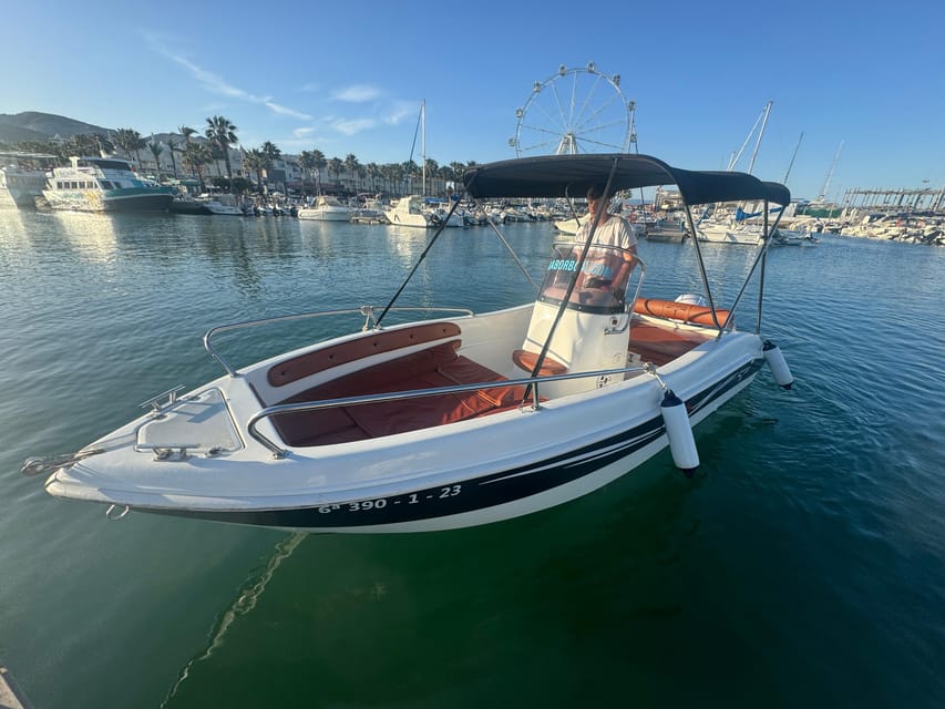 Benalmádena: Boat Rental without License - Dolphin watching from your own boat