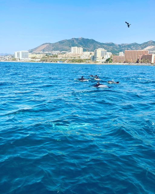 Benalmádena: Costa del Sol License-Free Boat Rental - How the route works in practice