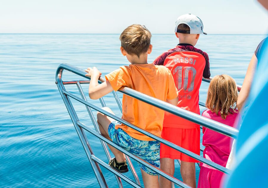 Benalmadena: Dolphin Watching Boat Tour - The summer swim stop
