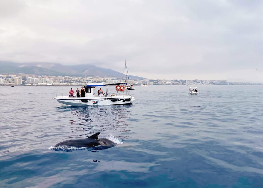 Benalmadena: Private Boat Trip with Drinks & Snacks - Leaving berth 670 in Benalmadena Port