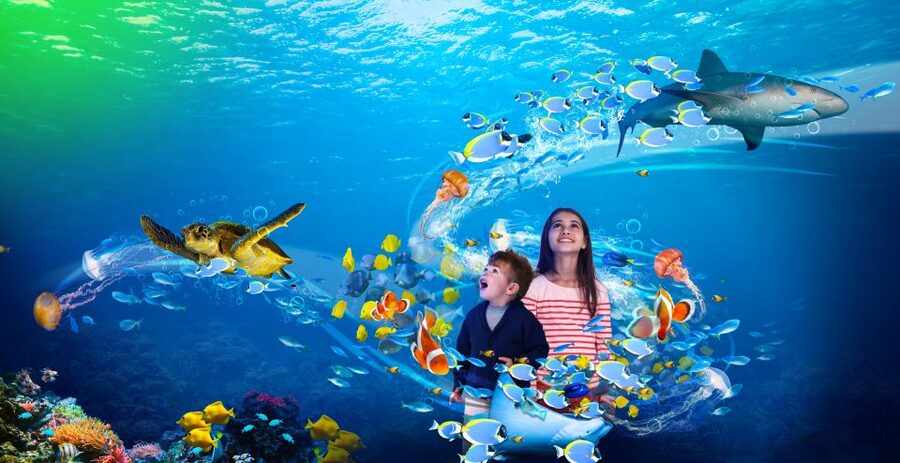 Benalmádena: Sea Life Benalmádena Premium Entry Ticket - Making a day of Puerto Marina