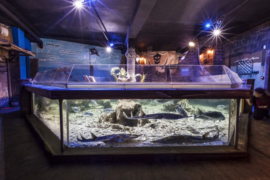 Benalmádena: Sea Life Benalmádena Premium Entry Ticket - Who will enjoy Sea Life Benalmádena most?