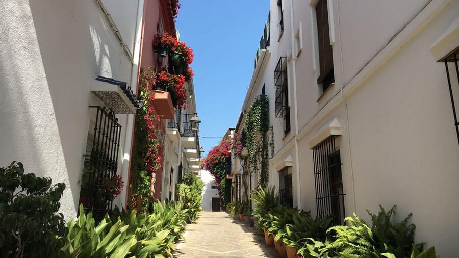 Best of Málaga: Private Walking Tour with a Local - Harbor views and Málaga’s coastal side