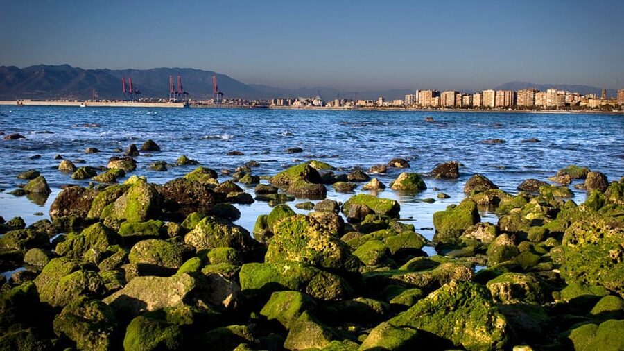 Best of Málaga: Private Walking Tour with a Local - How the private format affects value