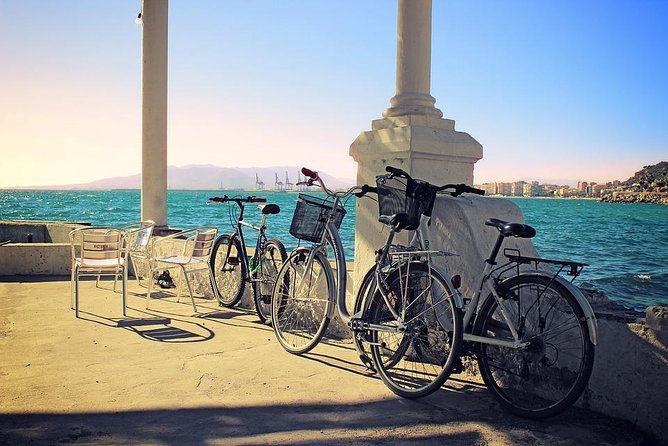 Bike Rental in Malaga - Taking in the port and Palmeral de las Sorpresas