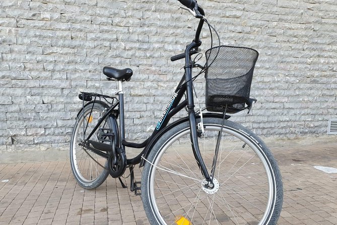 Bike Rental in Malaga - What the $18.02 price really buys you