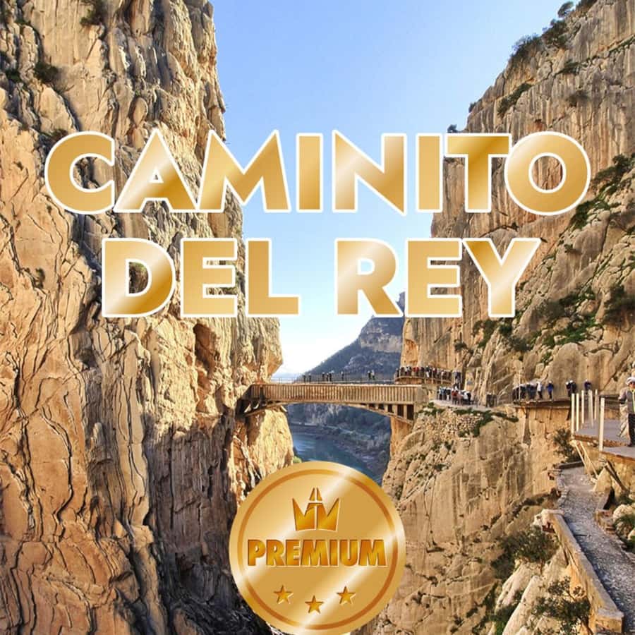 Caminito del Rey from Malaga all included - Leaving Málaga and reaching the gorge