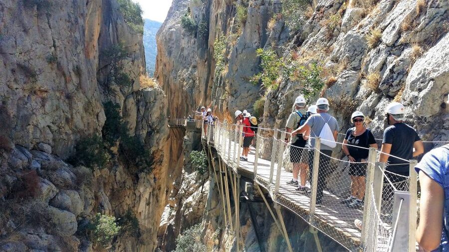 Caminito del Rey private tour from Costa del Sol - Guide service and the human side of the outing
