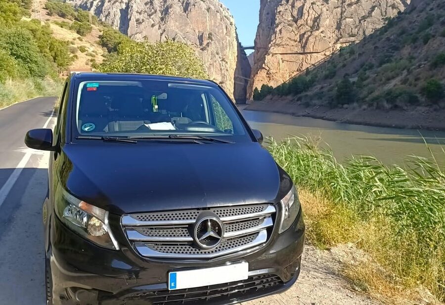 Caminito del Rey private tour from Costa del Sol - What the three-hour guided walk is like