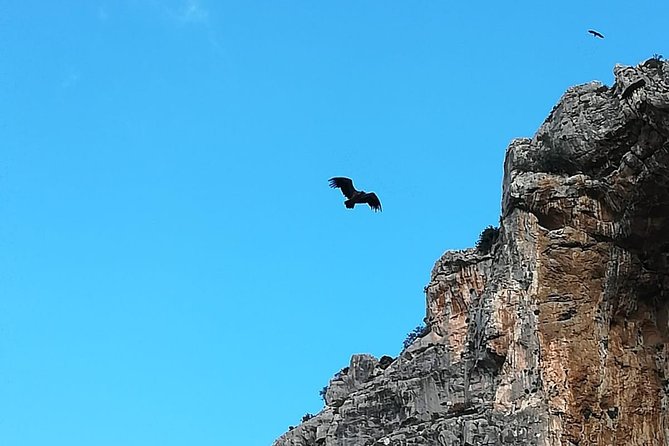 Caminito del Rey Trekking Walkway - Timing problems to watch closely