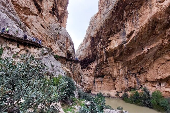 Caminito del Rey with Pickup from Malaga City - Who should book this experience?
