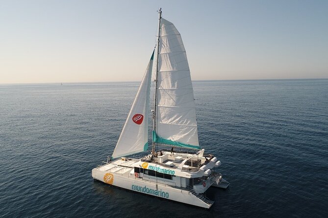 Catamaran tour with swimming stop in Malaga - Key points to know before booking
