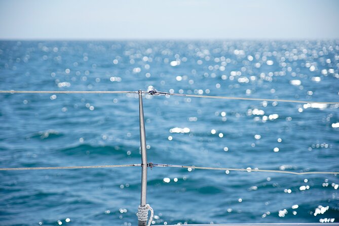 Catamaran tour with swimming stop in Malaga - Who will enjoy this catamaran ride?
