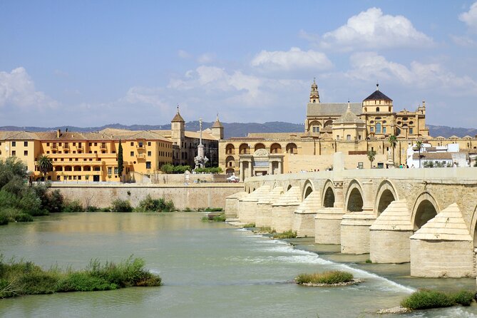 Cordoba Tour with Mosque, Synagogue and Patios from Malaga - What the guides and group format are really like
