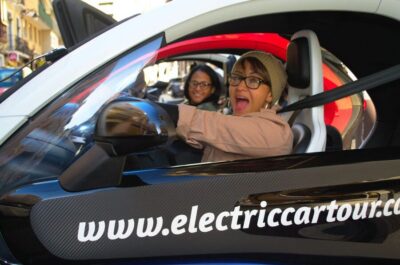 Cruise Terminal Pickup: Málaga in 2 Hours by Electric Car