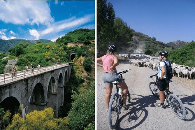 Cycling - Via Verde de la Sierra - 36km - Easy Level - The final section and return to Ronda