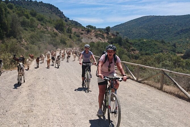 Cycling - Via Verde de la Sierra - 36km - Easy Level - What the $168.20 price really covers