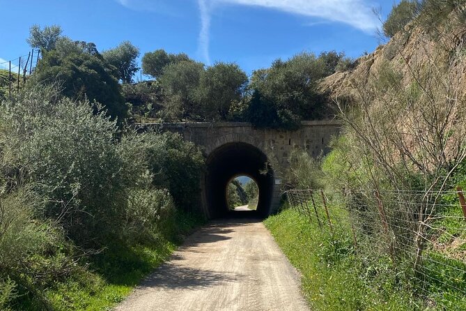 Cycling - Via Verde de la Sierra - Easy Difficulty - Ronda - Private support without a crowded group