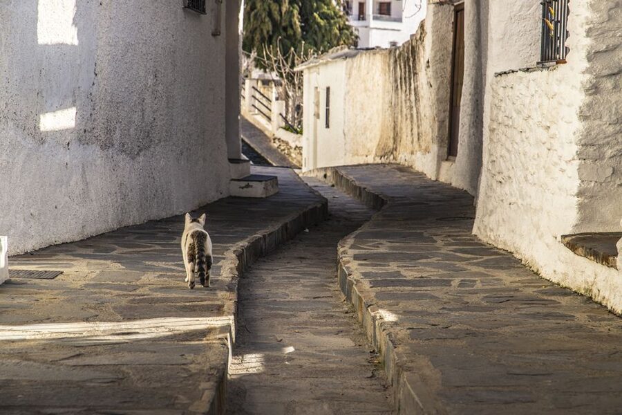Discovering Las Alpujarras from Málaga - SemiPrivate - What the $106 Price Really Covers