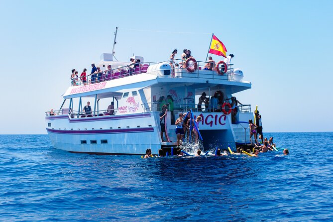 Dolphin Sightseeing Boat Tour from Benalmadena - Timing, weather, and the best departure strategy