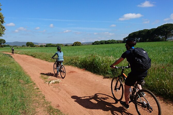 e-Bike (Self-Guided) & Winery tour - 20km Easy - Why this Ronda outing works so well