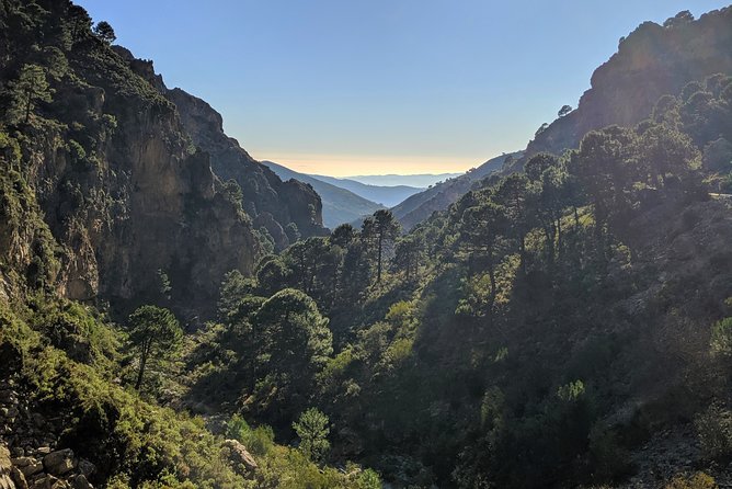 El Saltillo Gorge and White Village Hiking Tour from Malaga - Safety, footwear, and fitness