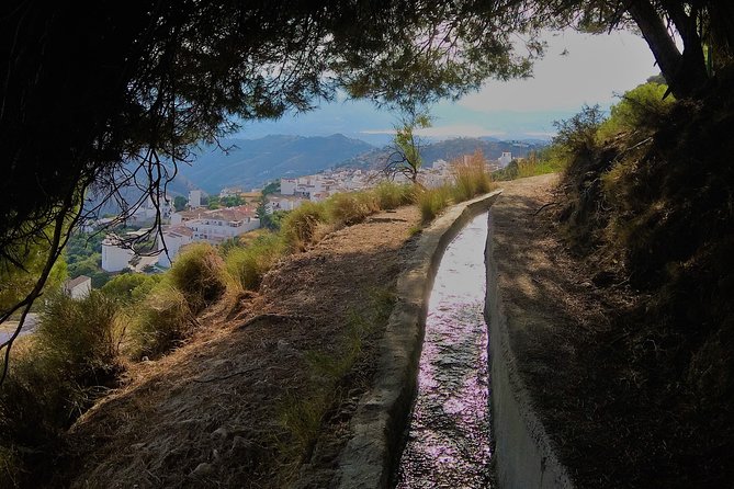 El Saltillo Gorge and White Village Hiking Tour from Malaga - Entering the Almanchares River gorge