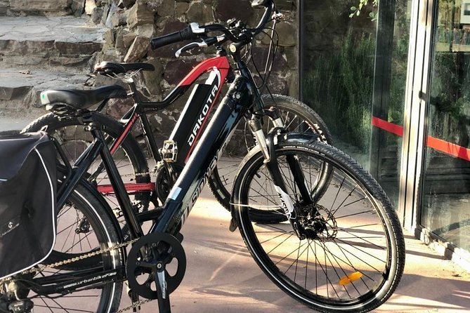 Electric Bike Rental in Malaga - Gibralfaro forest puts the electric motor to work