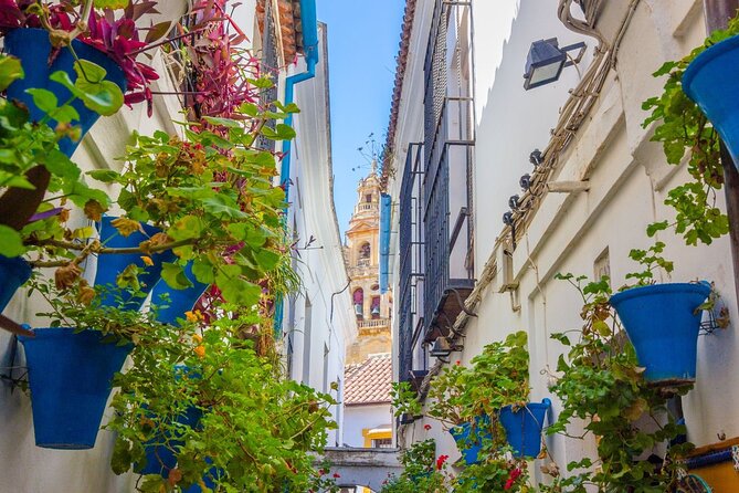 Excursion to Córdoba from Malaga - Why Córdoba Makes a Strong Day Trip From Malaga