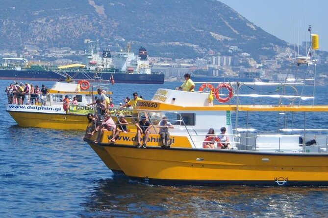 Excursion to Gibraltar with Dolphin Watching from Malaga - Why the dolphin cruise is the main event