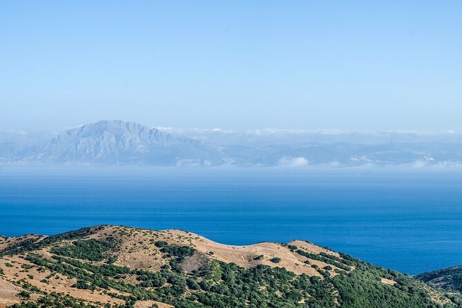 Excursion to Gibraltar with Rock Tour From Malaga - A 7:00 am start from central Malaga