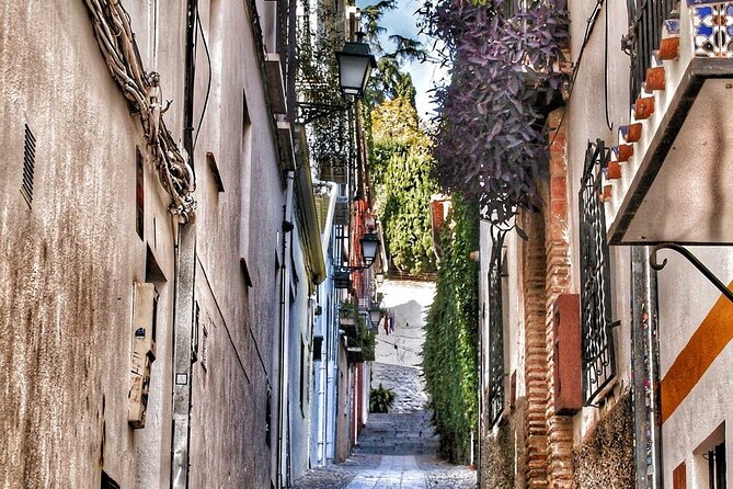 Excursion to Granada from Malaga - Ronda and the second itinerary problem