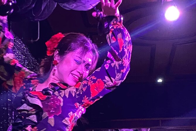 Flamenco Benalmadena Show - What the show does not include