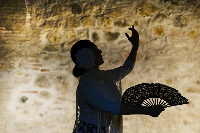 Flamenco, Tapas and Wine Tour: Best of Málaga in one Evening - Why this Málaga evening works so well