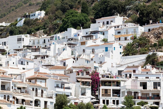 Frigiliana and Nerja Tour from Malaga - Practical tips for a smoother day