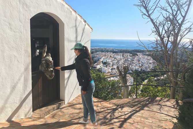 Frigiliana Small-Group Hike and Wine Tasting Tour from Malaga - Wine tasting and tapas in a local cellar