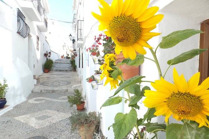 Frigiliana Small-Group Hike and Wine Tasting Tour from Malaga - Timing, booking, and cancellation details
